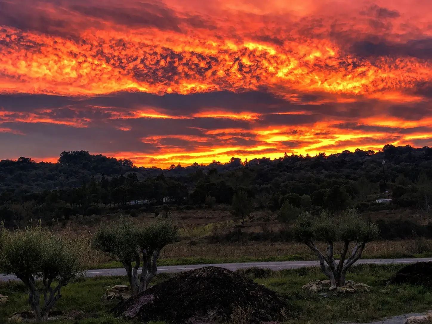 Clos Saint Conti · Coucher soleil flamboyant
