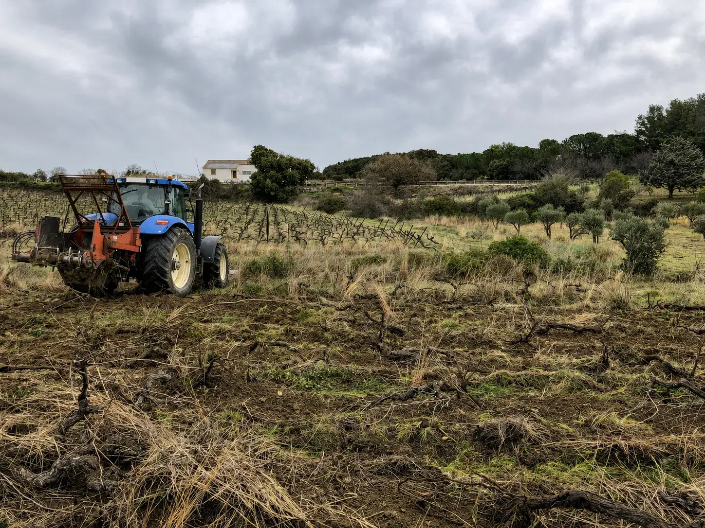 Clos Saint Conti · Tracteur travail parcelle