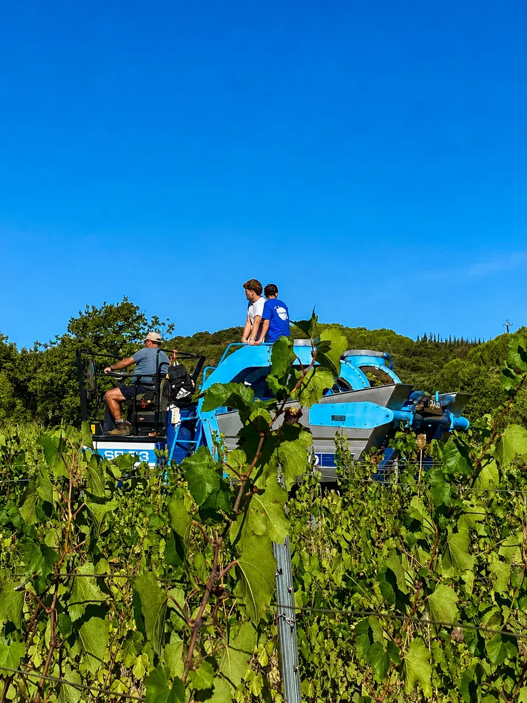 Clos Saint Conti · Machine vendange equipe