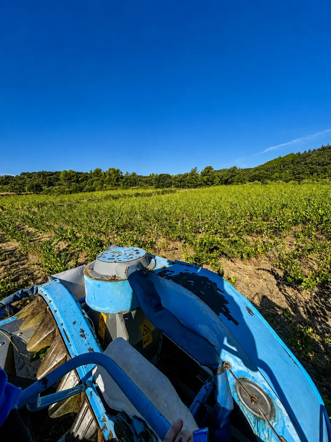 Clos Saint Conti · Vendange machine cuve