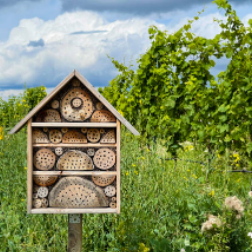 Comment Frédéric protège la Biodiversité…